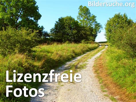 stock bilder kostenlos|Kostenlose Bilder zum Herunterladen